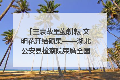 三袁故里勤耕耘 文明花开结硕果——湖北公安县检察院荣膺全国文明单位称号