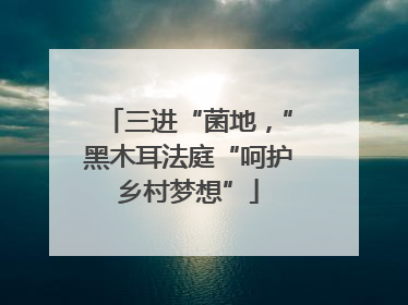 三进“菌地，”黑木耳法庭“呵护乡村梦想”