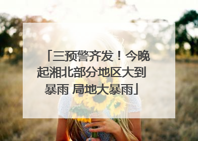 三预警齐发！今晚起湘北部分地区大到暴雨 局地大暴雨