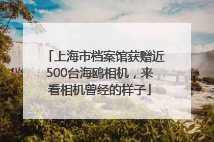 上海市档案馆获赠近500台海鸥相机，来看相机曾经的样子