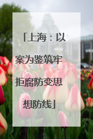 上海：以案为鉴筑牢拒腐防变思想防线