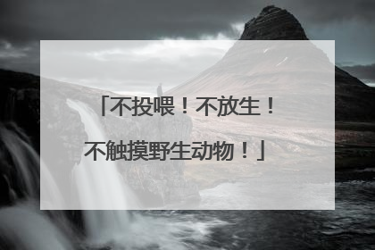 不投喂！不放生！不触摸野生动物！