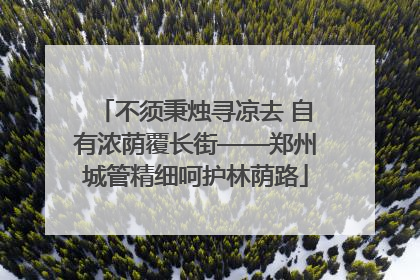 不须秉烛寻凉去 自有浓荫覆长街——郑州城管精细呵护林荫路