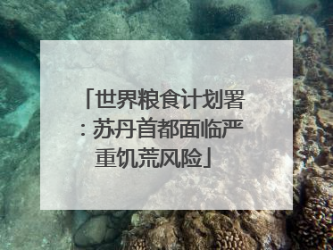 世界粮食计划署：苏丹首都面临严重饥荒风险