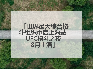 世界最大综合格斗组织重启上海站 UFC格斗之夜8月上演