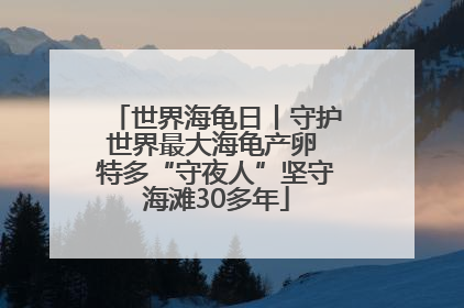 世界海龟日丨守护世界最大海龟产卵 特多“守夜人”坚守海滩30多年
