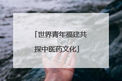 世界青年福建共探中医药文化