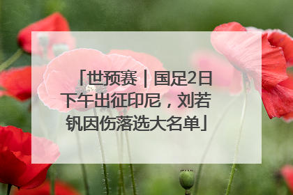 世预赛｜国足2日下午出征印尼，刘若钒因伤落选大名单