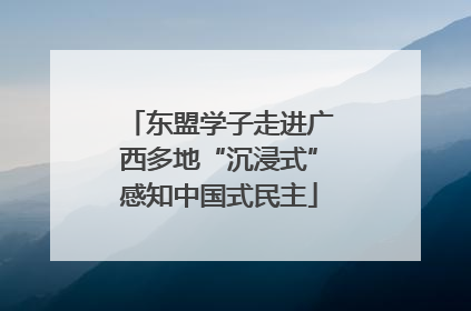东盟学子走进广西多地“沉浸式”感知中国式民主
