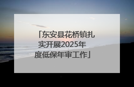 东安县花桥镇扎实开展2025年度低保年审工作