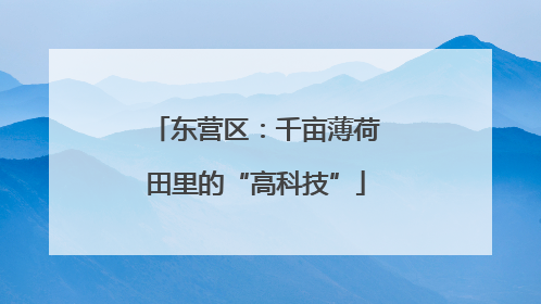 东营区：千亩薄荷田里的“高科技”