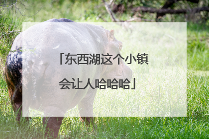东西湖这个小镇会让人哈哈哈