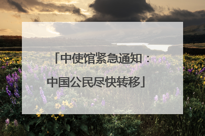 中使馆紧急通知：中国公民尽快转移