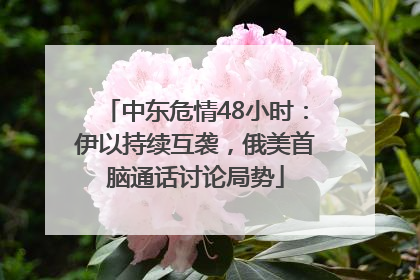 中东危情48小时：伊以持续互袭，俄美首脑通话讨论局势