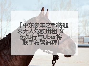 中东豪车之都将迎来无人驾驶出租 文远知行与Uber将联手布署迪拜