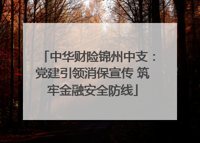 中华财险锦州中支：党建引领消保宣传 筑牢金融安全防线