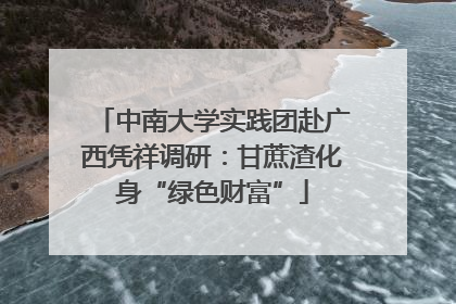中南大学实践团赴广西凭祥调研：甘蔗渣化身“绿色财富”