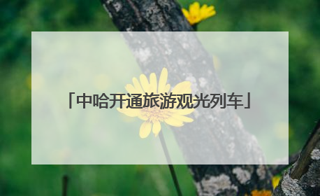 中哈开通旅游观光列车