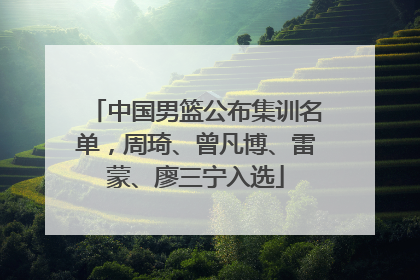 中国男篮公布集训名单，周琦、曾凡博、雷蒙、廖三宁入选