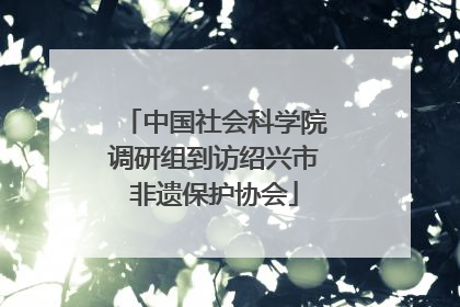 中国社会科学院调研组到访绍兴市非遗保护协会
