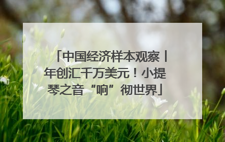 中国经济样本观察丨年创汇千万美元！小提琴之音“响”彻世界