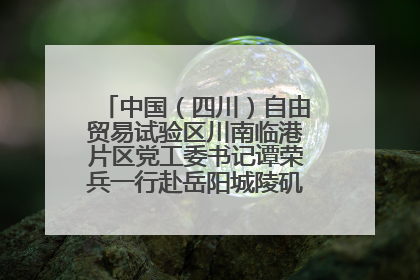 中国（四川）自由贸易试验区川南临港片区党工委书记谭荣兵一行赴岳阳城陵矶综保区考察
