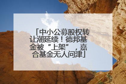 中小公募股权转让潮延续！德邦基金被“上架”，嘉合基金无人问津