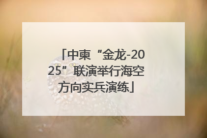 中柬“金龙-2025”联演举行海空方向实兵演练
