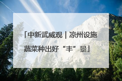 中新武威观｜凉州设施蔬菜种出好“丰”景