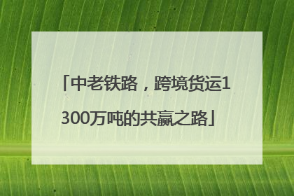 中老铁路，跨境货运1300万吨的共赢之路