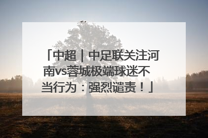 中超｜中足联关注河南vs蓉城极端球迷不当行为：强烈谴责！