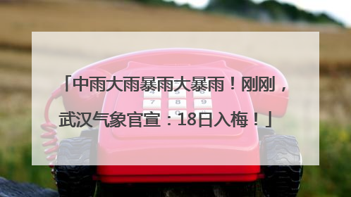 中雨大雨暴雨大暴雨！刚刚，武汉气象官宣：18日入梅！