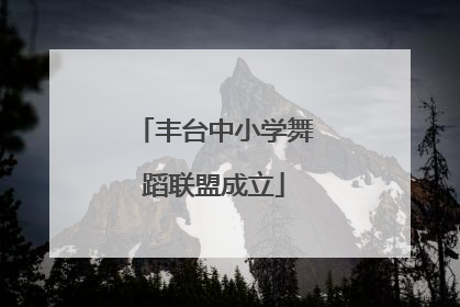 丰台中小学舞蹈联盟成立