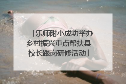 乐师附小成功举办乡村振兴重点帮扶县校长跟岗研修活动