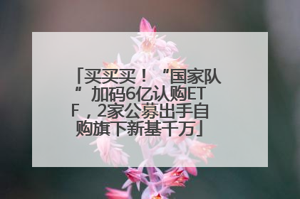 买买买！“国家队”加码6亿认购ETF，2家公募出手自购旗下新基千万