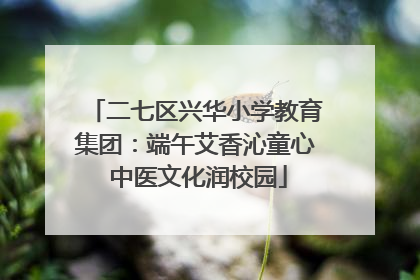 二七区兴华小学教育集团：端午艾香沁童心 中医文化润校园