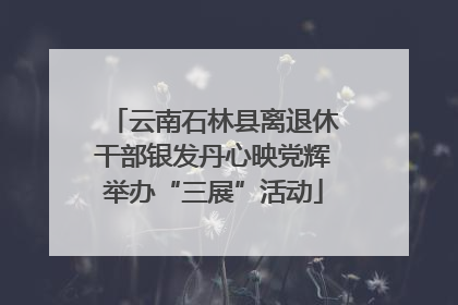 云南石林县离退休干部银发丹心映党辉举办“三展”活动