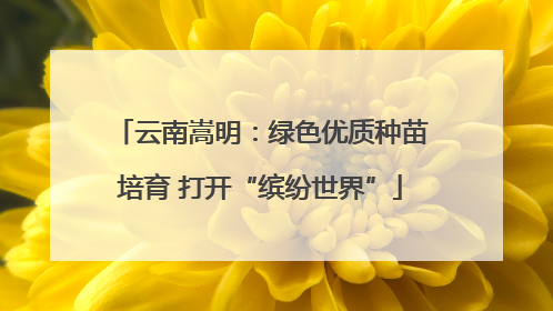 云南嵩明：绿色优质种苗培育 打开“缤纷世界”