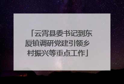 云霄县委书记到东厦镇调研党建引领乡村振兴等重点工作