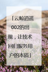 云鲸逍遥002的出现，让技术回归服务用户的本质