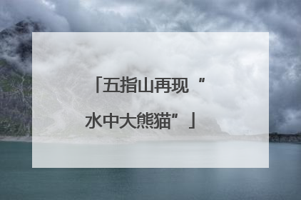 五指山再现“水中大熊猫”