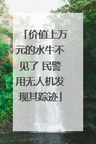 价值上万元的水牛不见了 民警用无人机发现其踪迹