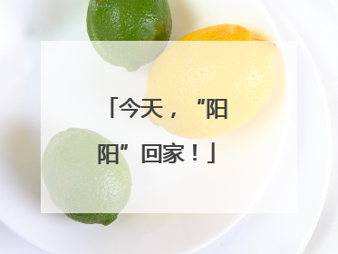 今天，“阳阳”回家！