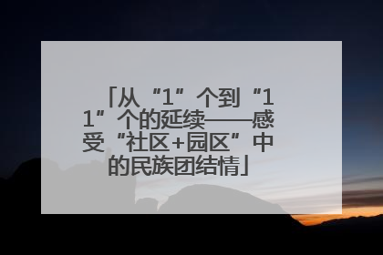 从“1”个到“11”个的延续——感受“社区+园区”中的民族团结情
