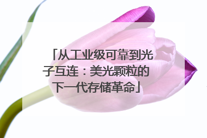从工业级可靠到光子互连：美光颗粒的下一代存储革命
