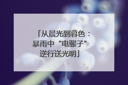 从晨光到暮色：暴雨中“电骡子”逆行送光明