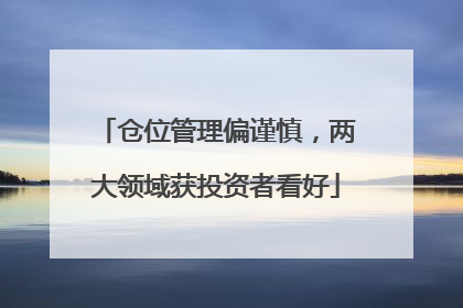 仓位管理偏谨慎，两大领域获投资者看好