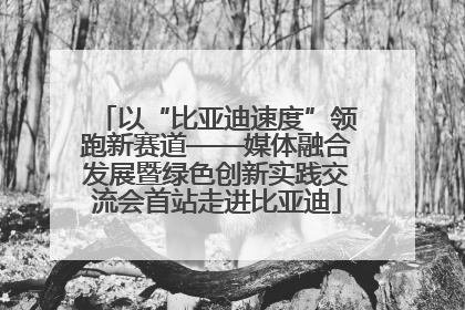 以“比亚迪速度”领跑新赛道——媒体融合发展暨绿色创新实践交流会首站走进比亚迪