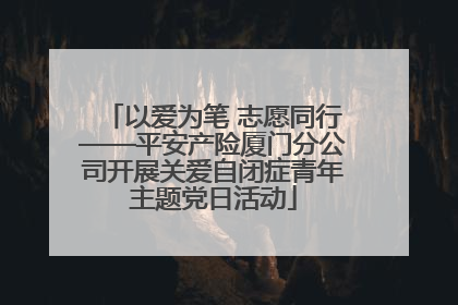 以爱为笔 志愿同行——平安产险厦门分公司开展关爱自闭症青年主题党日活动