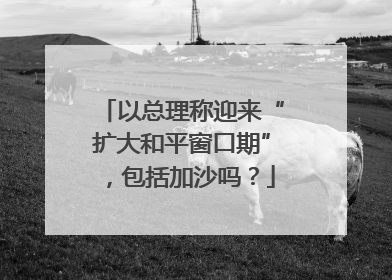 以总理称迎来“扩大和平窗口期”，包括加沙吗？